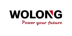 Wolong Electric America